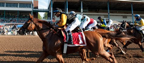 Fort Erie Racing .